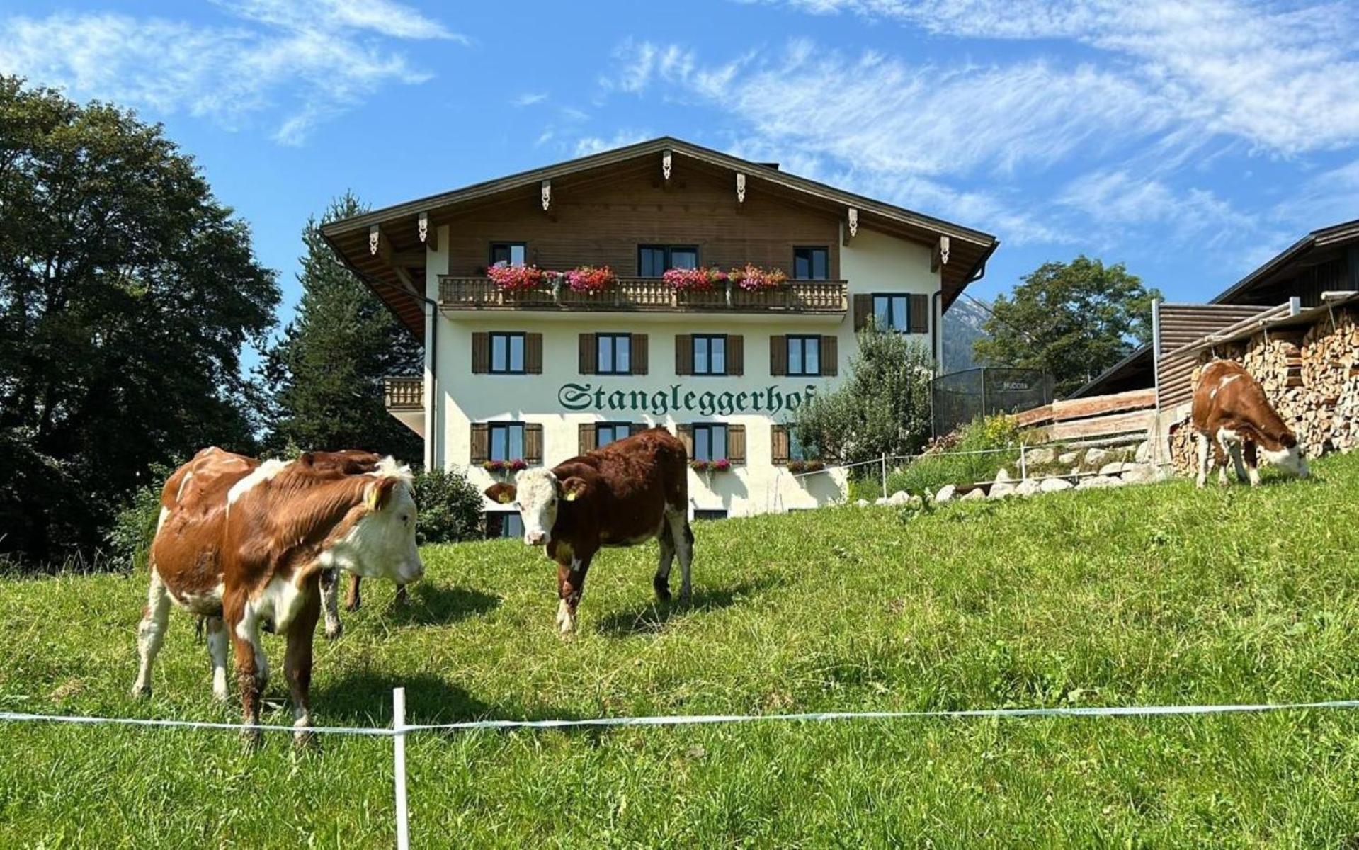 Stangleggerhof Wiesing Exterior foto